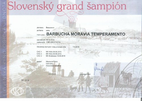 slovensky-grand-sampion.jpg